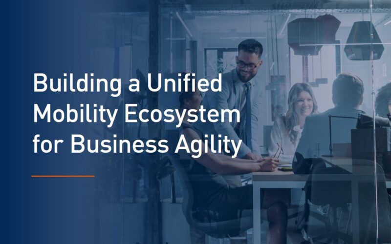 Graebel simplifies a global pharmaceutical company’s mobility ecosystem with unified processes and technology